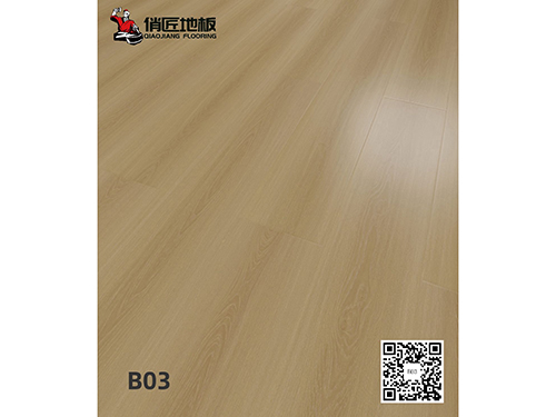 B03